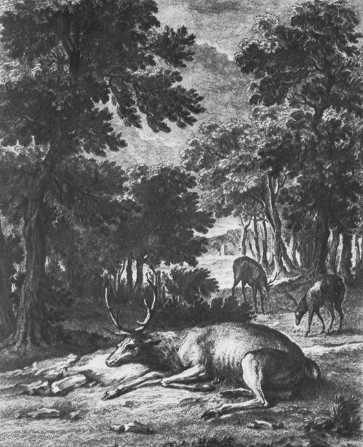 Le Cerf par J.-B. Oudry - Illustration tirée du Traité de Vènerie par d'Yauville - BnF (Gallica)